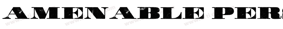 Amenable Personal Us字体转换